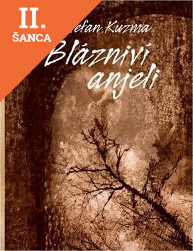 Lacná kniha Blázniví anjeli