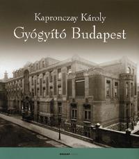 Kniha Gyógyító Budapest - Károly Kapronczay