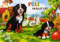 Kniha Füli világot lát - Hajnal Eszes