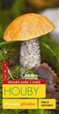 Houby /Rebo/