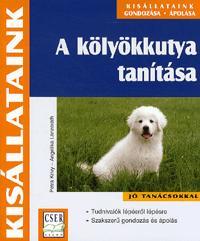 A kölyökkutya tanítása