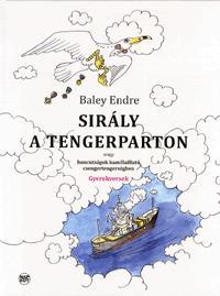 Sirály a tengerparton