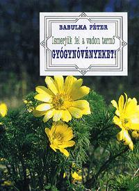 Ismerjük fel a vadon termő gyógynövényeket!
