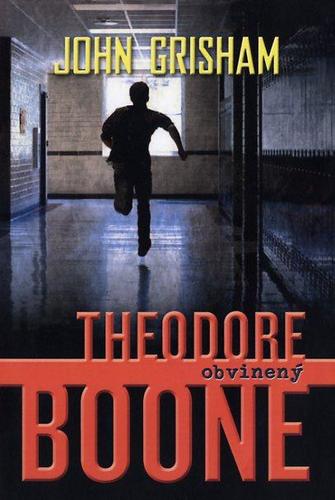 Theodore Boone: Obvinený