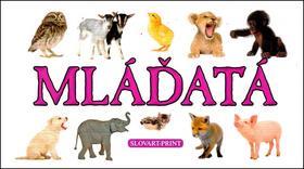Mláďatá