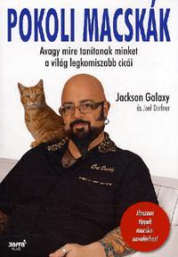 Pokoli macskák