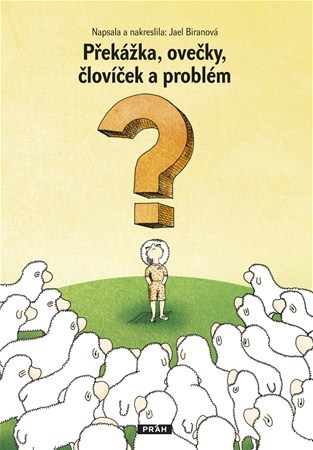 Překážka, ovečky, človíček a problém