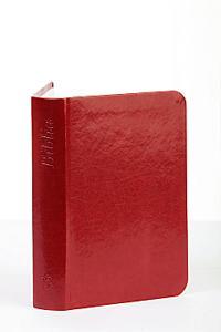 Biblia, nagy méret (bordó)