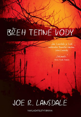 Kniha Břeh temné vody - Joe R. Lansdale