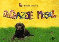Kniha Dr. Drazsé mesél - Zsuzsa Sándor