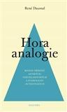 Hora analogie
