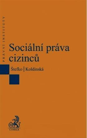Kniha Sociální práva cizinců - Martin Štefko,Kristina Koldinská