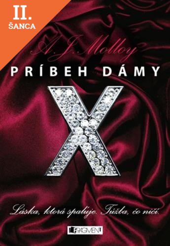 Lacná kniha Príbeh dámy X