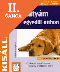 Lacná kniha A kutyám - egyedül otthon