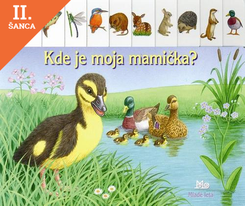 Lacná kniha Kde je moja mamička?