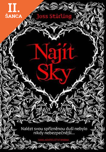 Lacná kniha Najít Sky