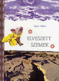 Kniha Elveszett szemek - Sigrún Eldjárn