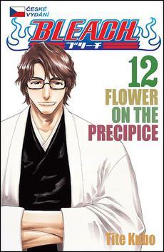 Bleach 12 - Kubo Tite