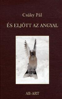 Kniha És eljött az angyal - Pál Csáky