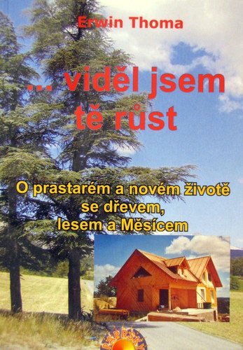 ...viděl jsem tě růst