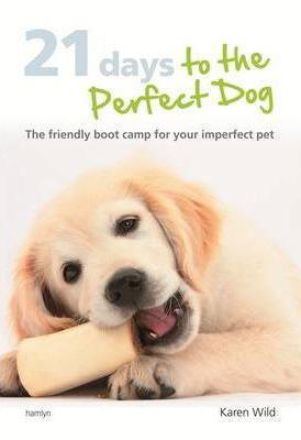21 Days To The Perfect Dog