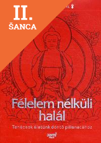 Lacná kniha Félelem nélküli halál