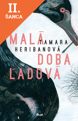 Lacná kniha Malá doba ľadová