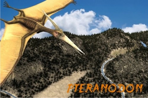Mapcards.net, s.r.o. 3D pohľadnica Pteranodon