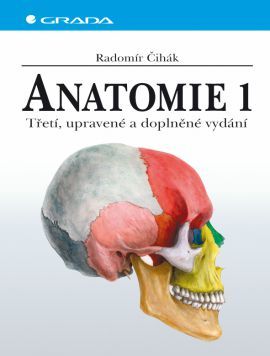 Anatomie 1 - třetí. upravené a doplněné vydání - Radomír Čihák