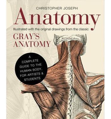 Anatomy