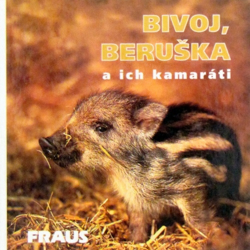 Bivoj, Beruška a ich kamaráti