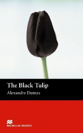 Black Tulip    MM2
