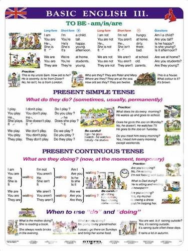 Kniha Basic English III.