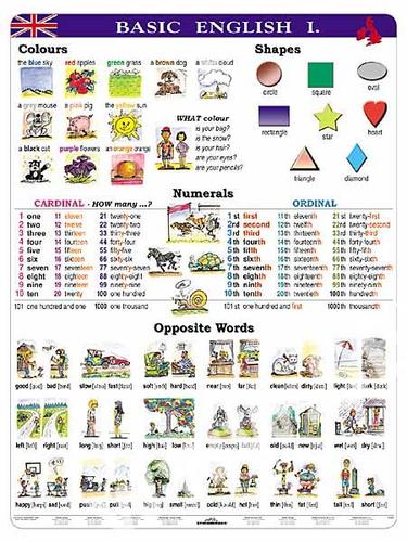 Basic English I. - A4 karta
