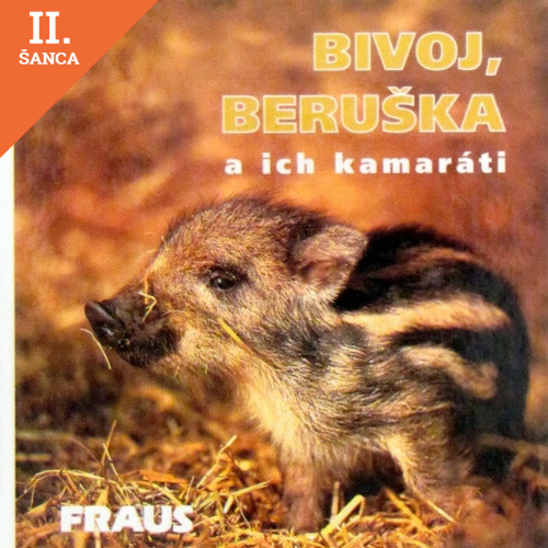 Lacná kniha Bivoj, Beruška a ich kamaráti