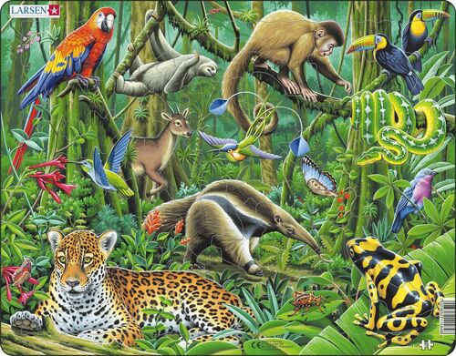Larsen Puzzle Puzzle Južná Amerika - Dažďový prales zvieratá Larsen FH10-ZZ