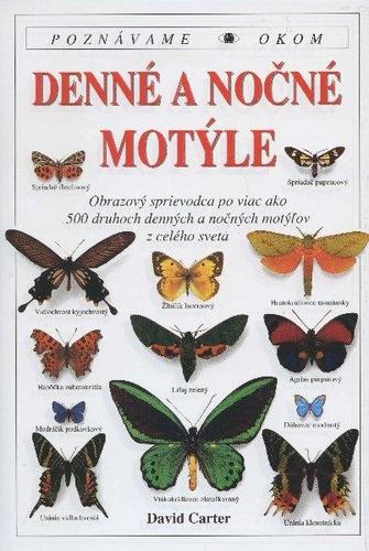 Denné a nočné motýle