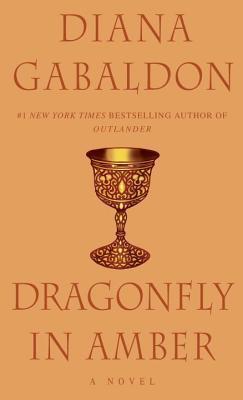 Kniha Dragonfly In Amber