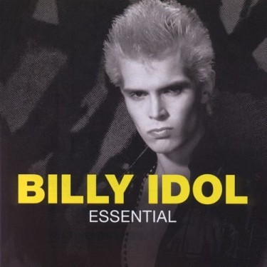 Kniha Idol Billy - Essential CD