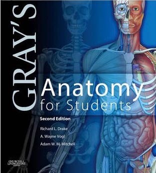 Gray´s Anatomy for Students: With STUDENT CONSULT Online Access (Grays Anatomy for Students)