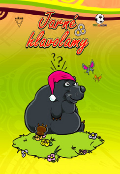 Kniha Jarné hlavolamy