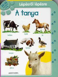 Lépésről lépésre: A tanya 24-36 hónapos korig