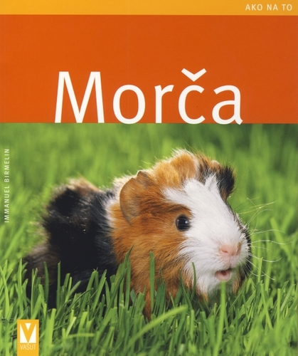 Morča Ako na to