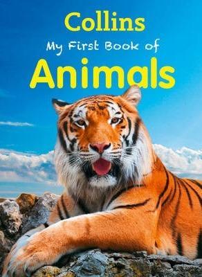 My First Book Of Animals