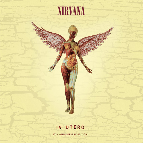 Kniha Nirvana - In Utero CD