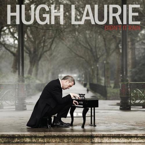 Laurie Hugh - Didnt It Rain CD