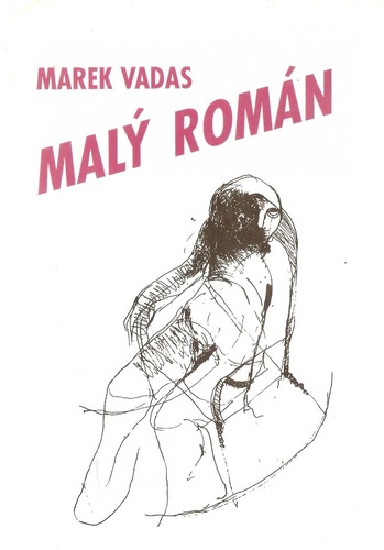Malý román