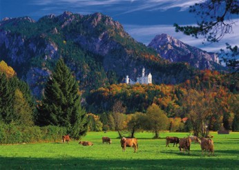 Neuschwanstein
