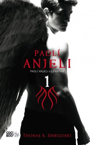 Padlí anjeli 1