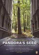 Pandora`s Seed